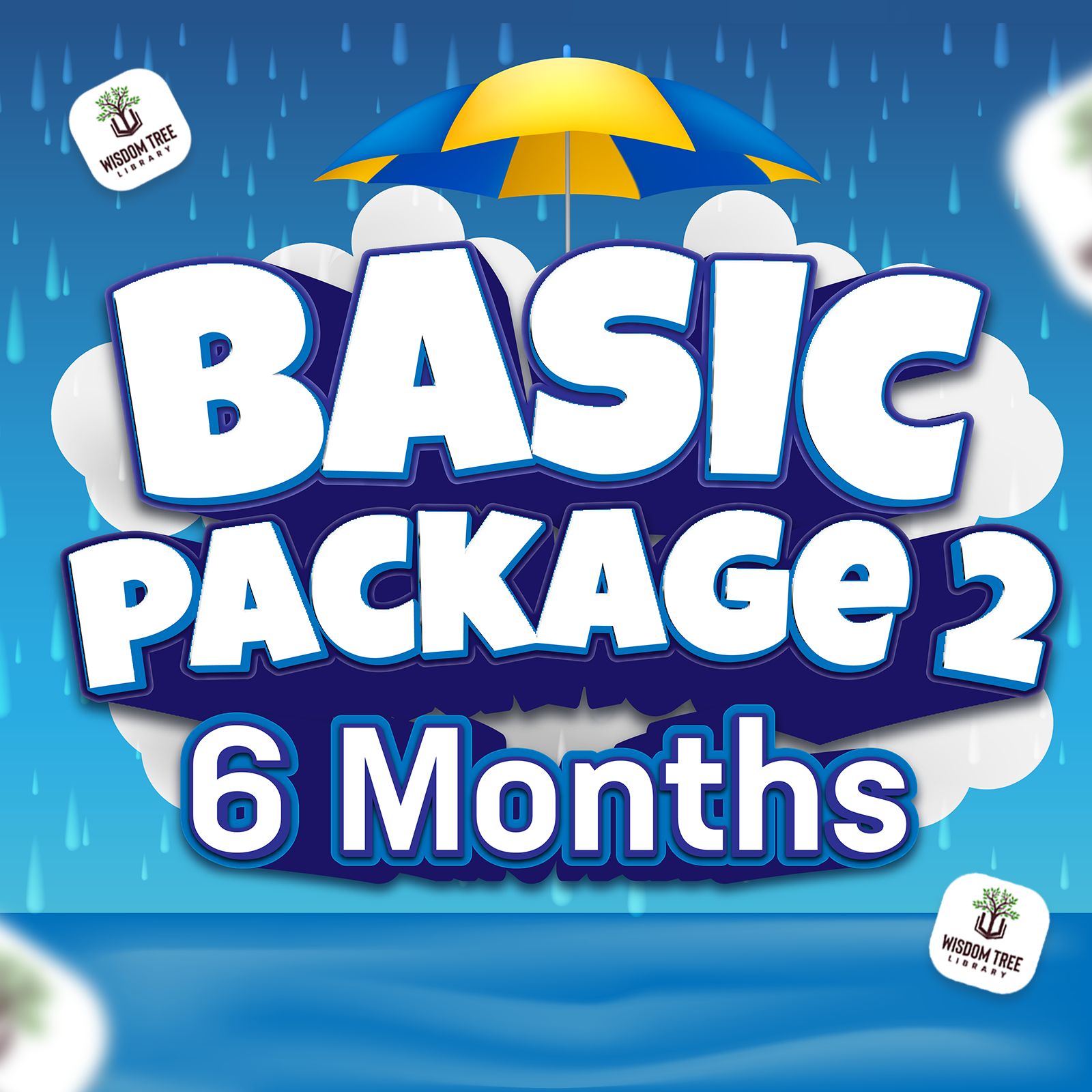 Package Image