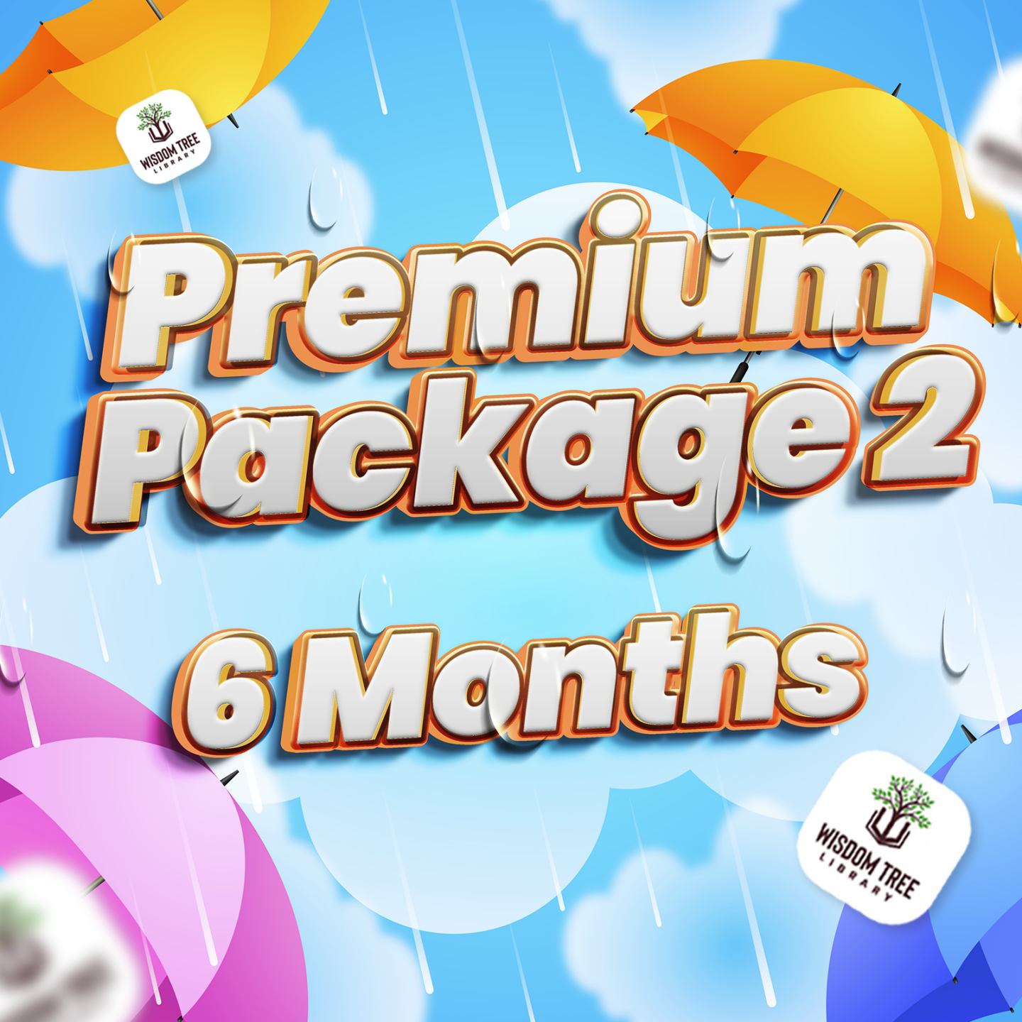 Package Image